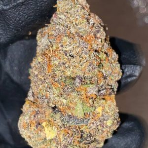 GRAPE GELATO WEED STRAIN