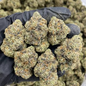 CHERRY GUMBO STRAIN