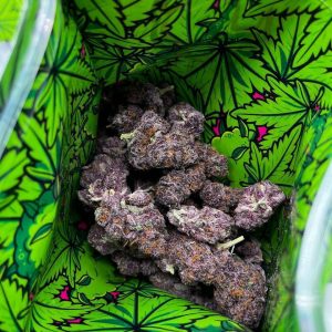 SNOOZE PILLOWS WEED