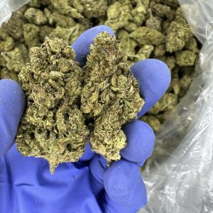 MEMORY LOSS STRAIN
