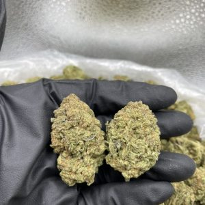 MAC 1 STRAIN