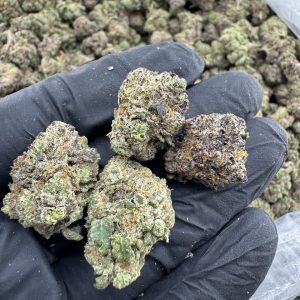WHAM STRAIN