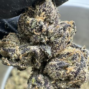 HARD CANDY STRAIN
