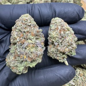 SKITTLES STRAIN