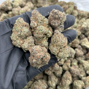 MARTIAN CANDY STRAIN