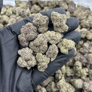CANDY RUNTZ STRAIN