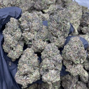 MOCHILATO STRAIN