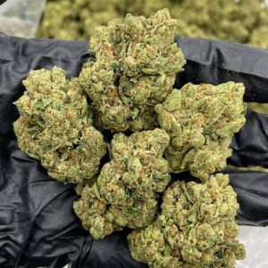 KING LOUIS STRAIN