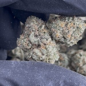 MONSTER COOKIES