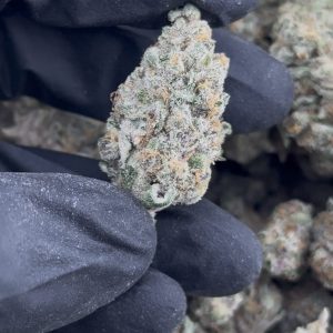 BLOCKBERRY STRAIN