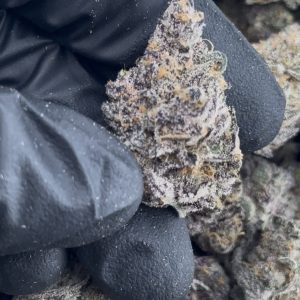 SUPER BOOF STRAIN