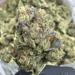 GELATO 42 STRAIN