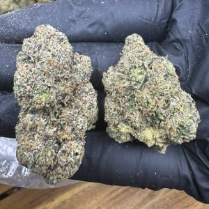 CHERRY BOMB STRAIN