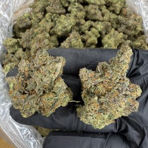 KUSH MINTZ STRAIN