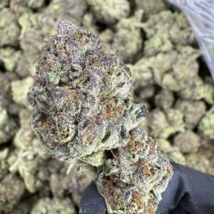ICC STRAIN