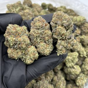 WHITE TRUFFLE STRAIN