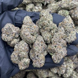 SUPER RUNTZ STRAIN