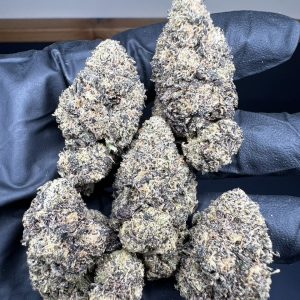SUPREME RUNTZ STRAIN