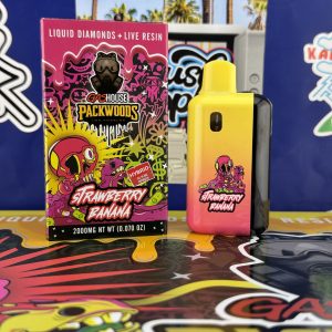 GAS HOUSE PACKWOODS 2G DISPOSABLE