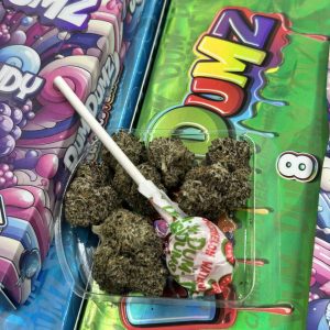 DUM DUMZ STRAIN EXOTIC FLOWER
